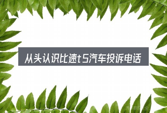 从头认识比速t5汽车投诉电话