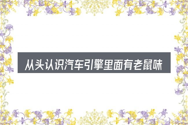 从头认识汽车引擎里面有老鼠味道