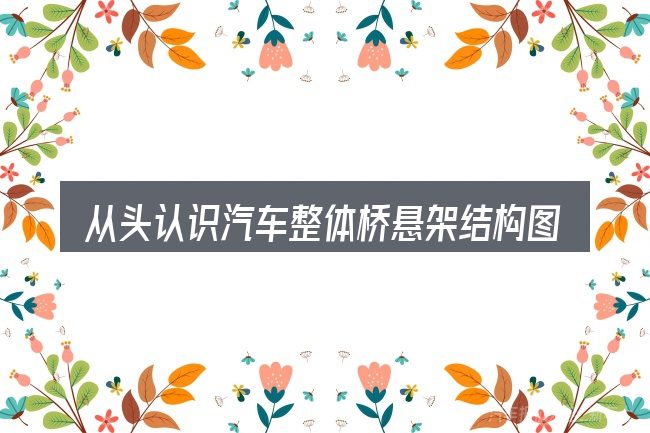 从头认识汽车整体桥悬架结构图