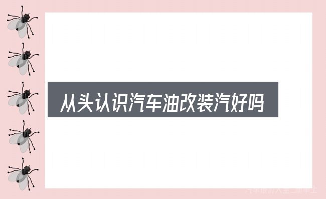 从头认识汽车油改装汽好吗