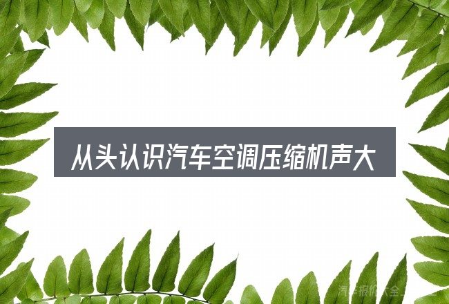 从头认识汽车空调压缩机声大