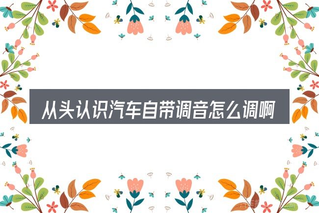 从头认识汽车自带调音怎么调啊