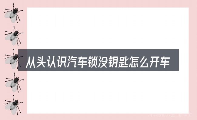 从头认识汽车锁没钥匙怎么开车门