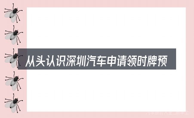 从头认识深圳汽车申请领时牌预约