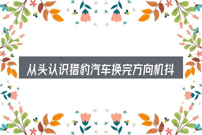 从头认识猎豹汽车换完方向机抖是咋回事