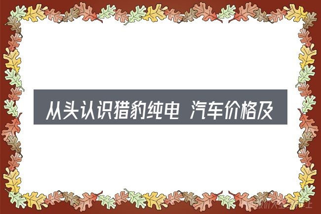 从头认识猎豹纯电 汽车价格及图片