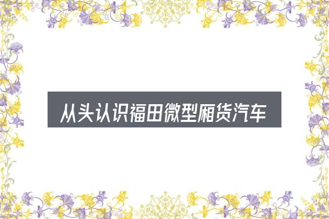 从头认识福田微型厢货汽车