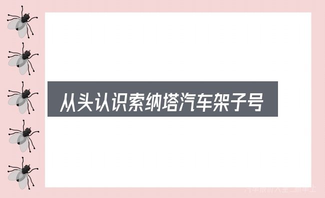 从头认识索纳塔汽车架子号