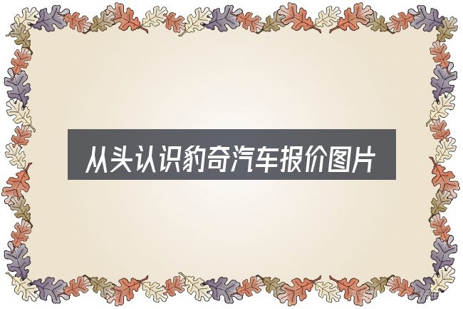 从头认识豹奇汽车报价图片