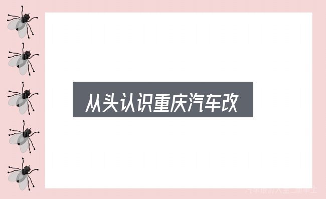 从头认识重庆汽车改