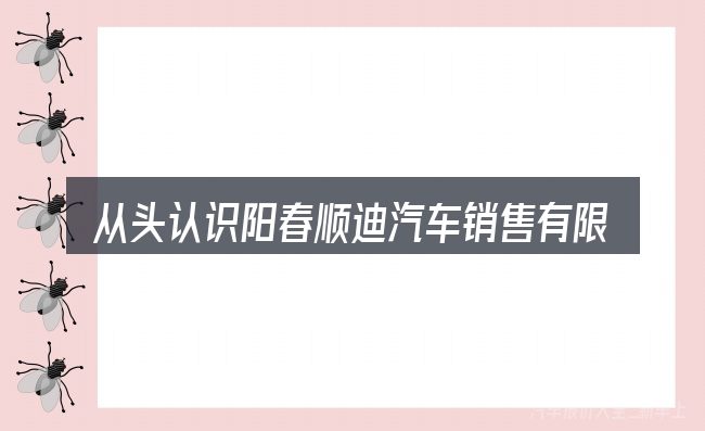 从头认识阳春顺迪汽车销售有限公司