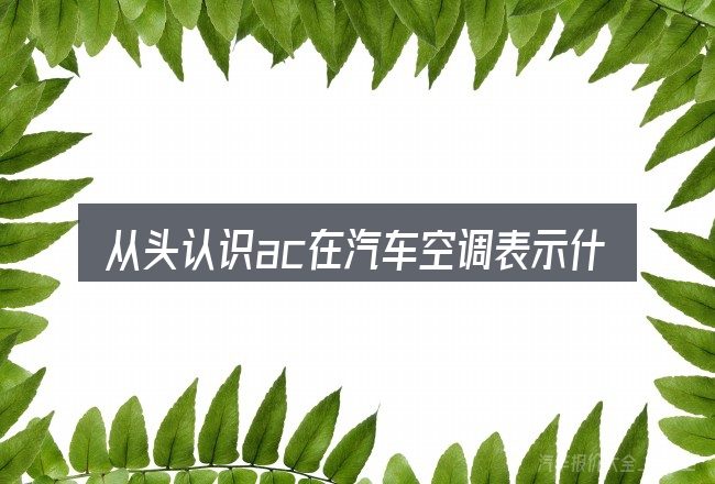 从头认识ac在汽车空调表示什么