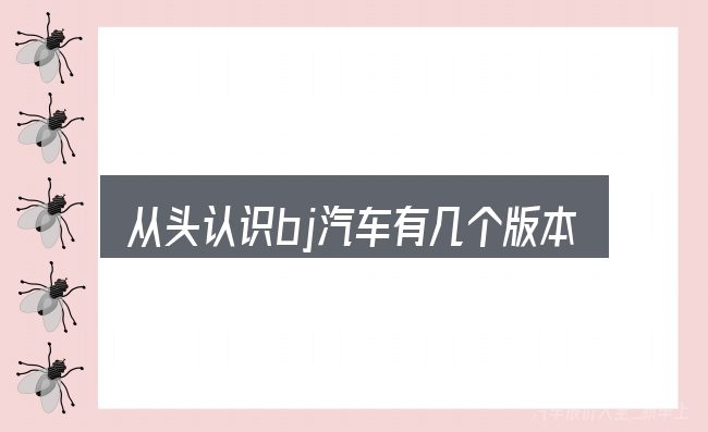 从头认识bj汽车有几个版本