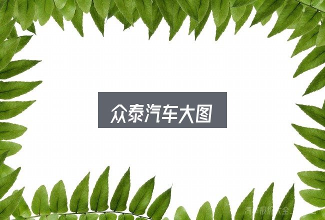 众泰汽车大图是什么？一篇够用的入门资料