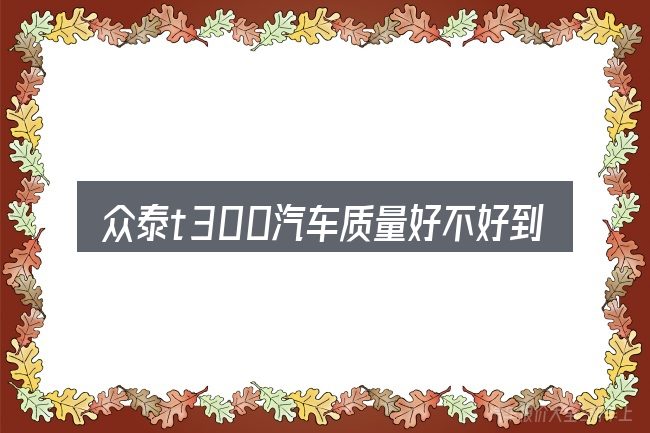 众泰t300汽车质量好不好到底是什么