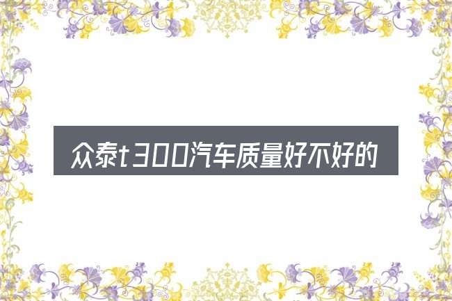 众泰t300汽车质量好不好的几个核心要点