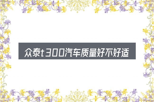 众泰t300汽车质量好不好适合哪些场景