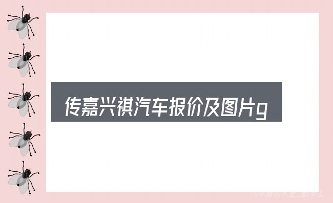 传嘉兴祺汽车报价及图片gs4怎么看？从零开始的完整思路