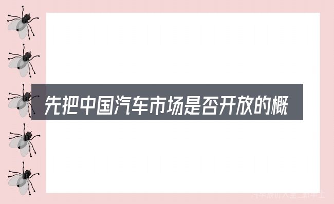先把中国汽车市场是否开放的概念说清楚