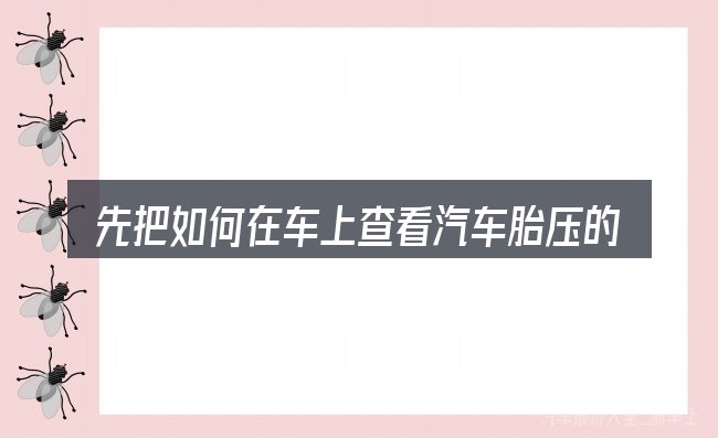 先把如何在车上查看汽车胎压的概念说清楚