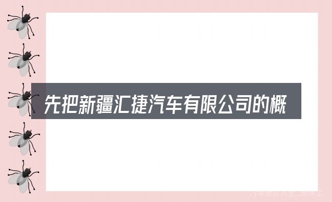 先把新疆汇捷汽车有限公司的概念说清楚
