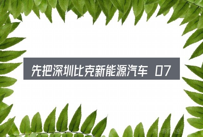先把深圳比克新能源汽车 0755的概念说清楚