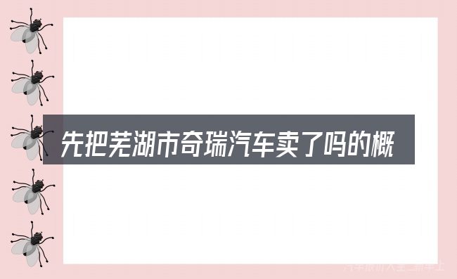 先把芜湖市奇瑞汽车卖了吗的概念说清楚