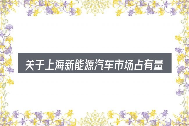 关于上海新能源汽车市场占有量的几个常见误区