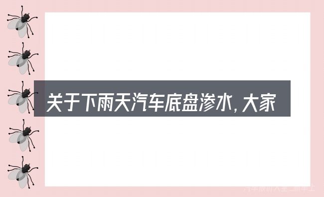 关于下雨天汽车底盘渗水,大家最常问的几个问题