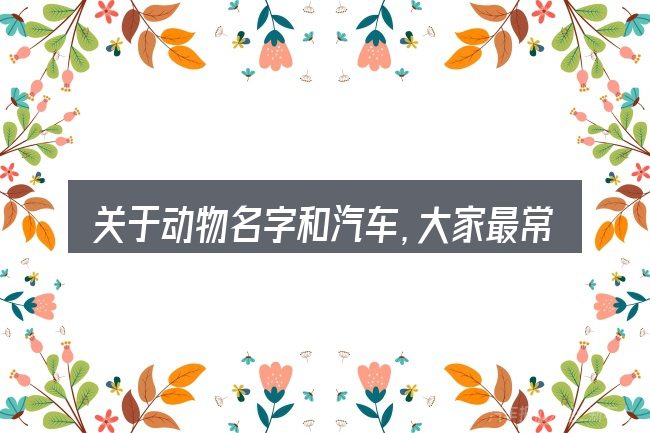 关于动物名字和汽车,大家最常问的几个问题