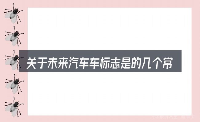 关于未来汽车车标志是的几个常见误区