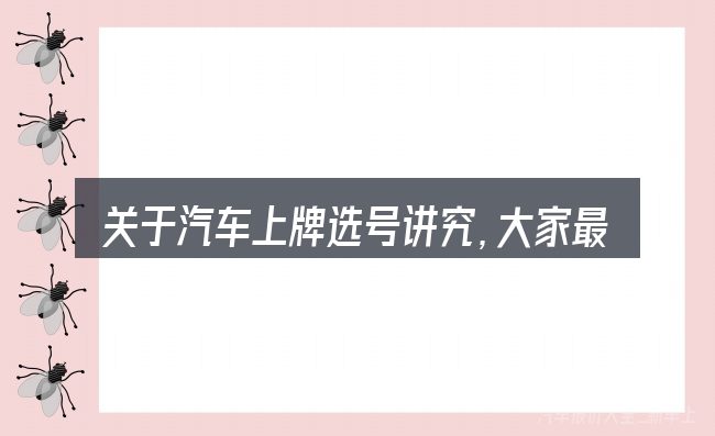 关于汽车上牌选号讲究,大家最常问的几个问题