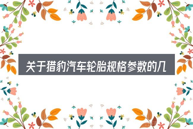关于猎豹汽车轮胎规格参数的几个常见误区