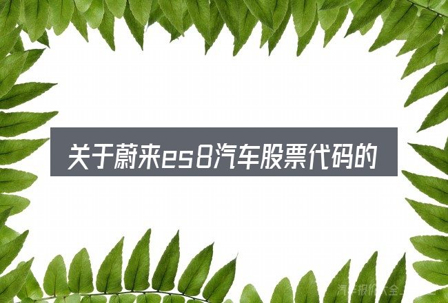 关于蔚来es8汽车股票代码的几个常见误区