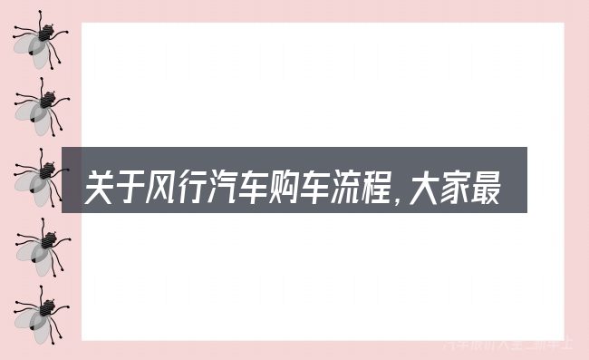 关于风行汽车购车流程,大家最常问的几个问题