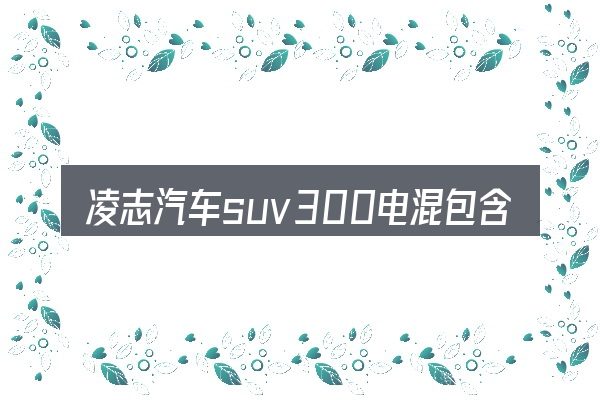 凌志汽车suv300电混包含哪几层意思