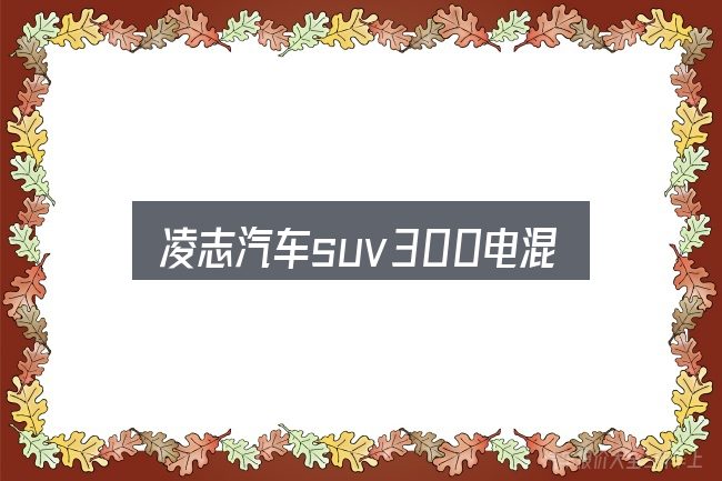 凌志汽车suv300电混实用指南：从入门到精通的梳理