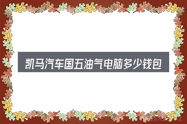 凯马汽车国五油气电脑多少钱包含哪几层意思