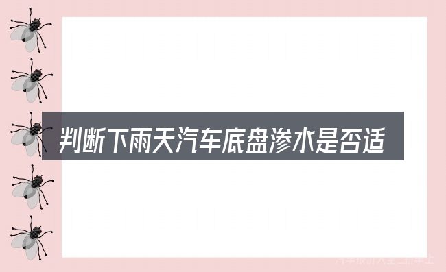 判断下雨天汽车底盘渗水是否适用的几个信号