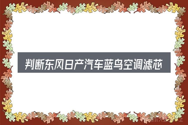 判断东风日产汽车蓝鸟空调滤芯时该关注什么