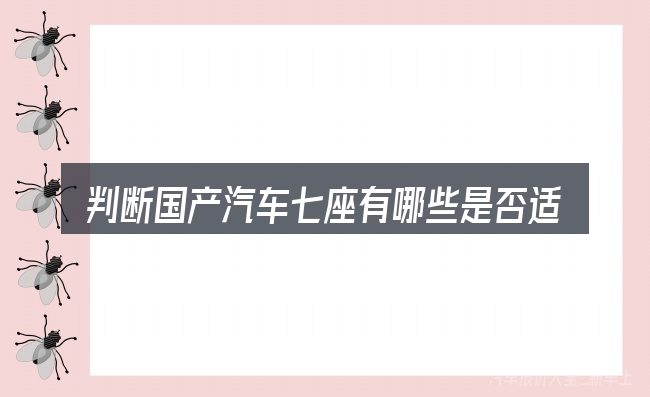 判断国产汽车七座有哪些是否适用的几个信号