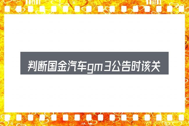判断国金汽车gm3公告时该关注什么
