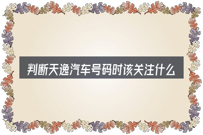 判断天逸汽车号码时该关注什么