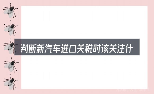 判断新汽车进口关税时该关注什么