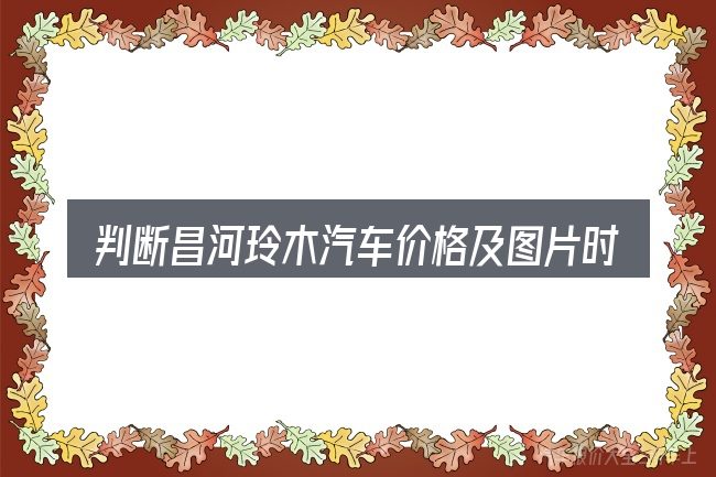 判断昌河玲木汽车价格及图片时该关注什么