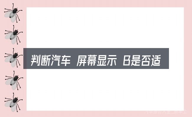 判断汽车 屏幕显示 B是否适用的几个信号