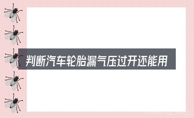 判断汽车轮胎漏气压过开还能用吗时该关注什么