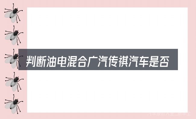 判断油电混合广汽传祺汽车是否适用的几个信号