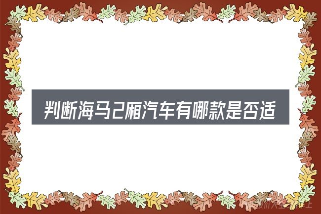 判断海马2厢汽车有哪款是否适用的几个信号