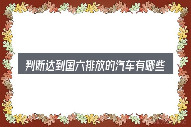 判断达到国六排放的汽车有哪些时该关注什么